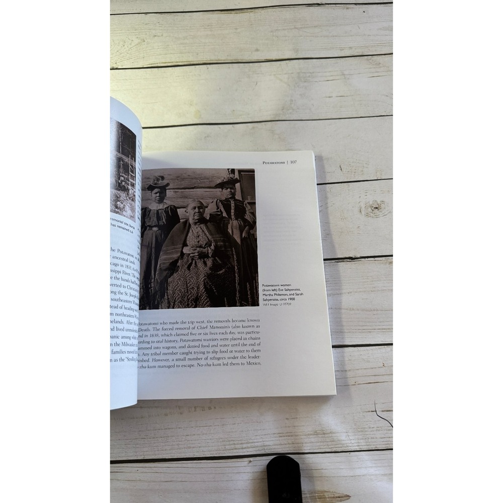 Indian Nations of Wisconsin Patty Loew 2013 Second Edition Native American - Picture 8 of 10
